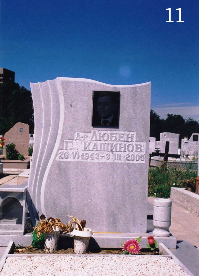 Модел 11