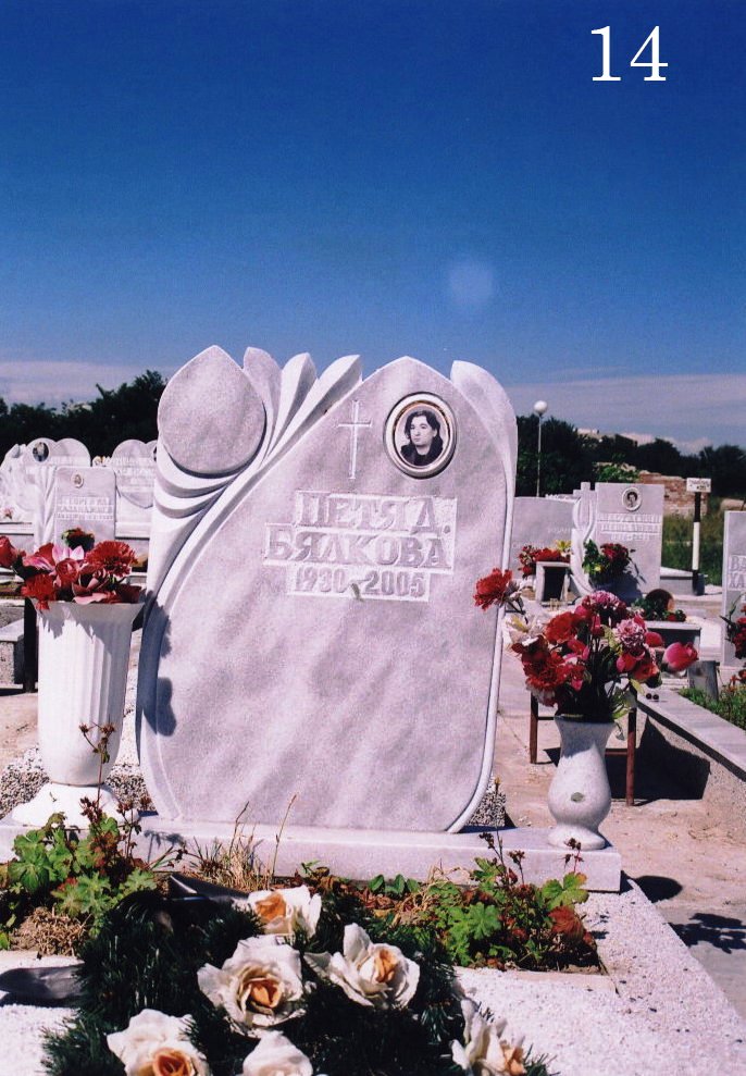 Модел 14