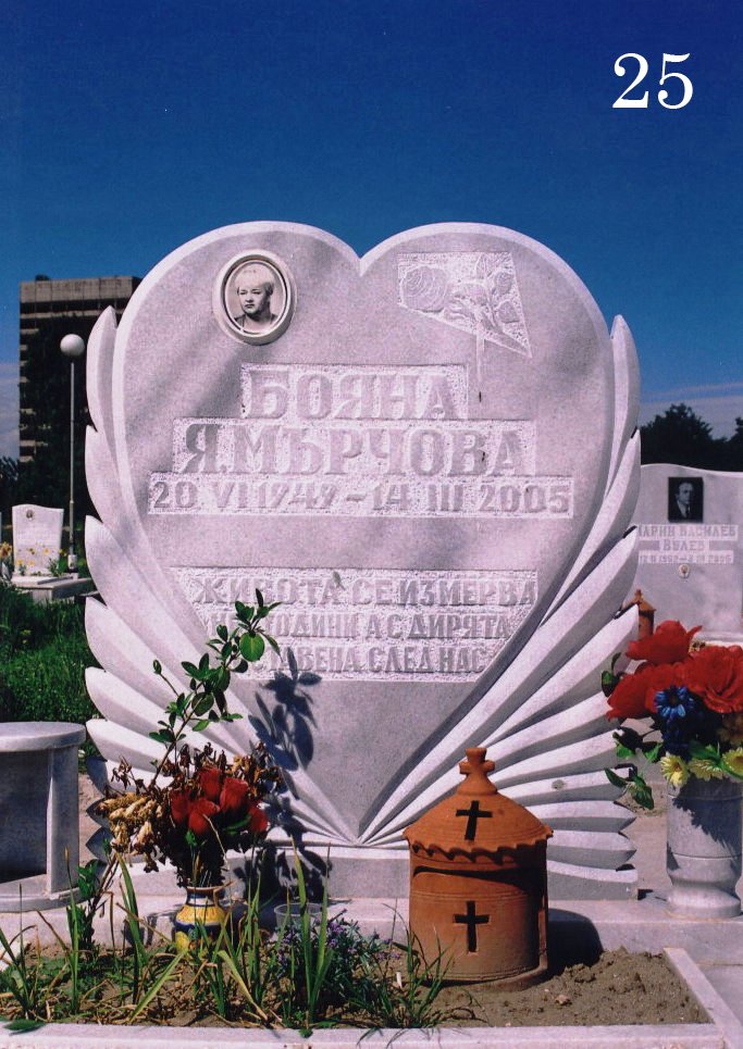 Модел 25