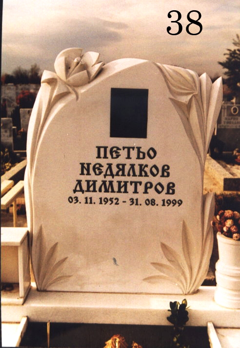 Модел 38