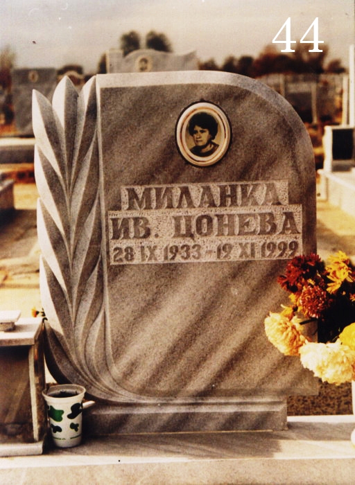 Модел 44