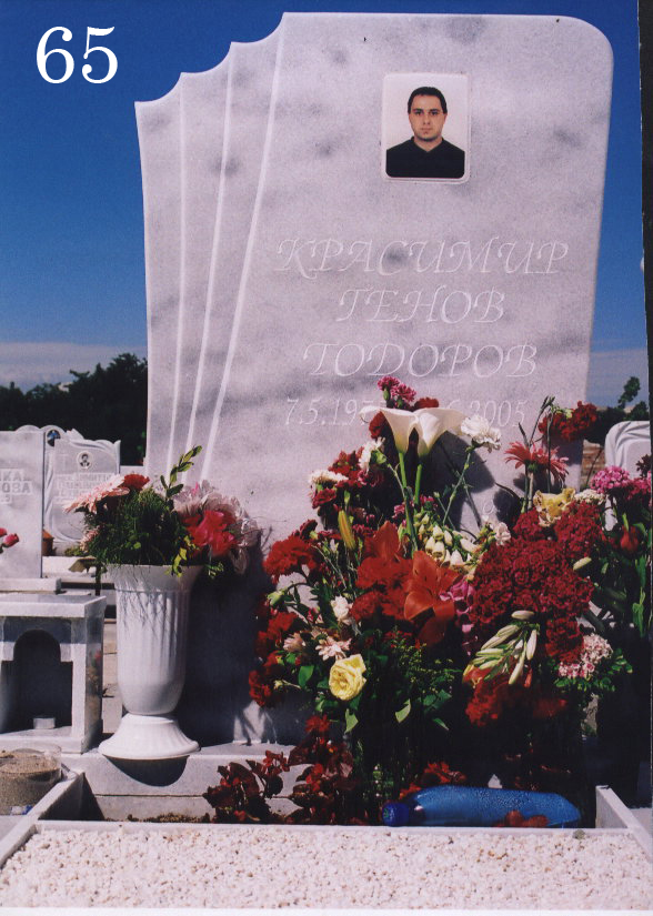 Модел 65
