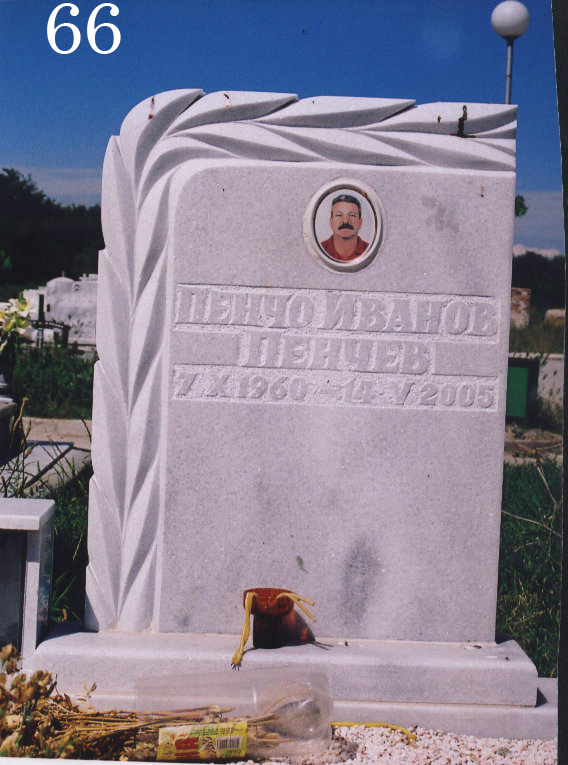 Модел 66
